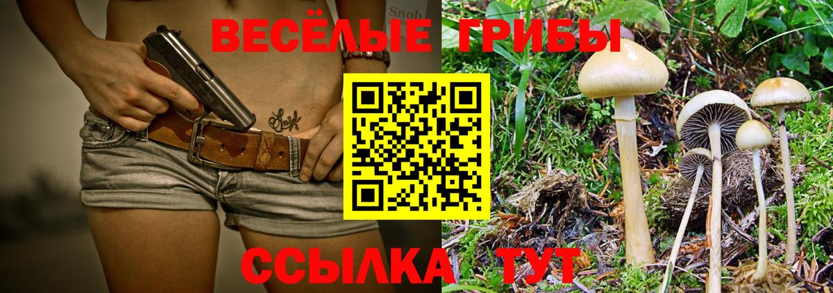 Галлюциногенные грибы GOLDEN TEACHER  Псилоцибиновые грибы Magic Shrooms  Вход с VPN  Жуковский 
